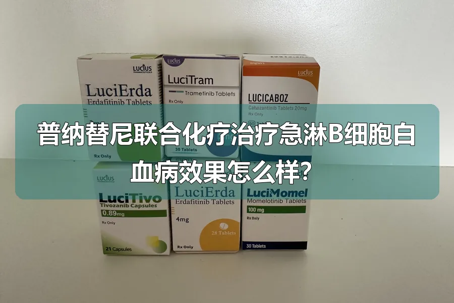 普纳替尼联合化疗治疗急淋B细胞白血病效果怎么样？