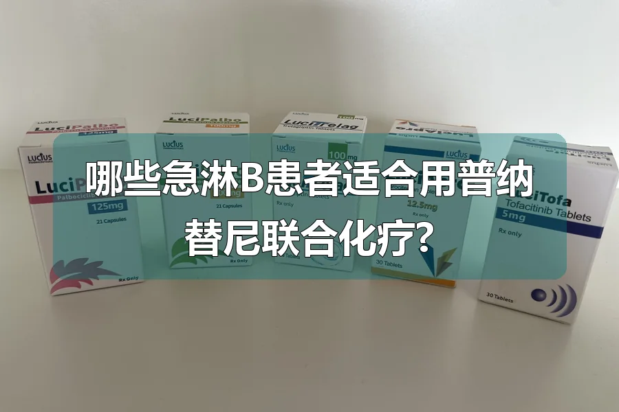 哪些急淋B患者适合用普纳替尼联合化疗?