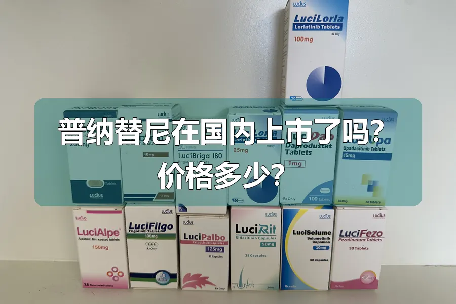 普纳替尼在国内上市了吗?价格多少?